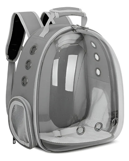 CapsulePet®
